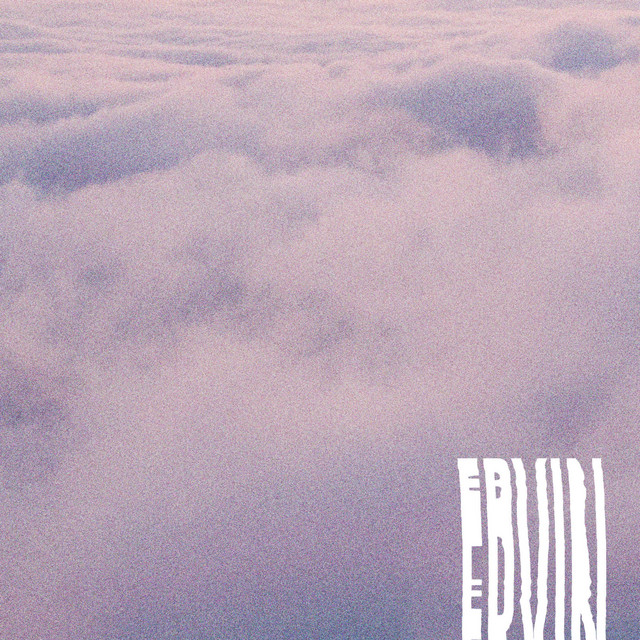 ERVIN
