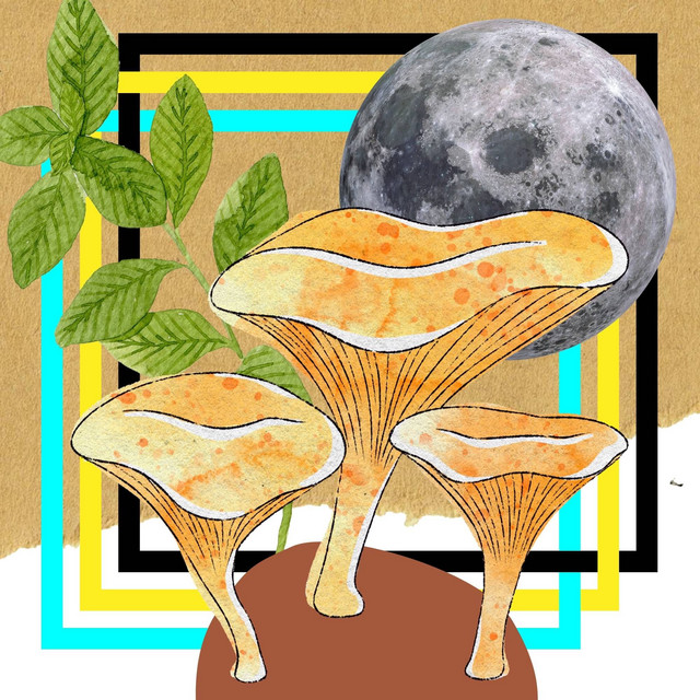 (Latin Piano Music) Music for Imaginative Planets cover art