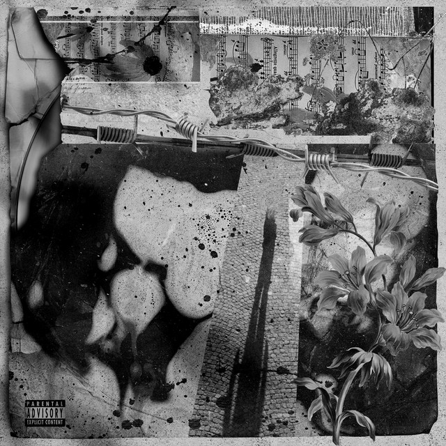 A Shadow in the Shade Too cover art