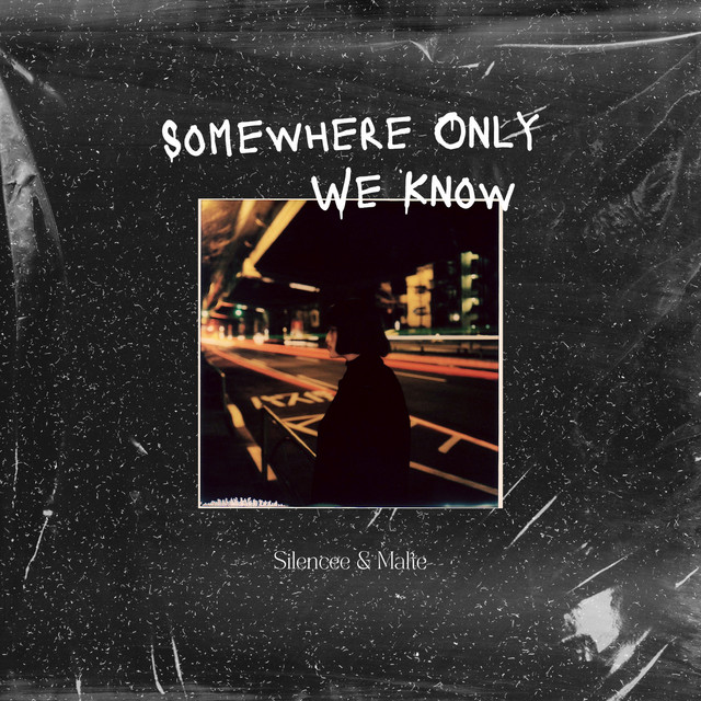 Somewhere Only We Know cover art