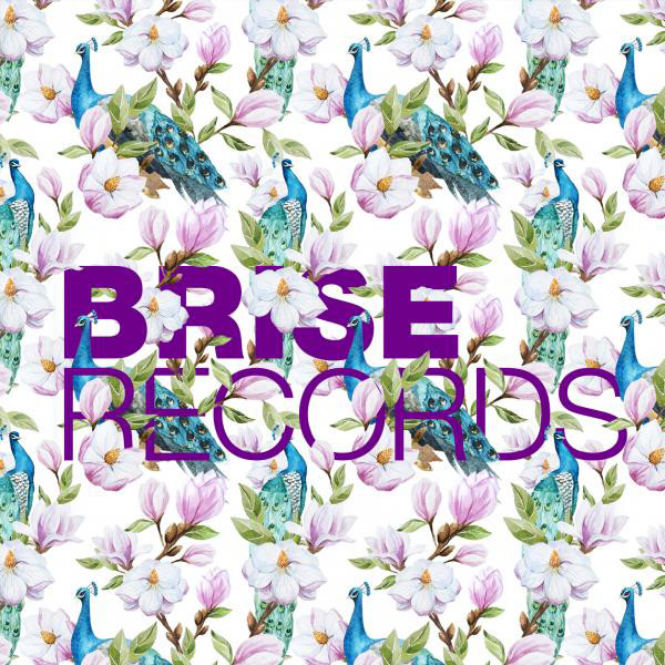 Dissident Ballet - Vocal Version cover art