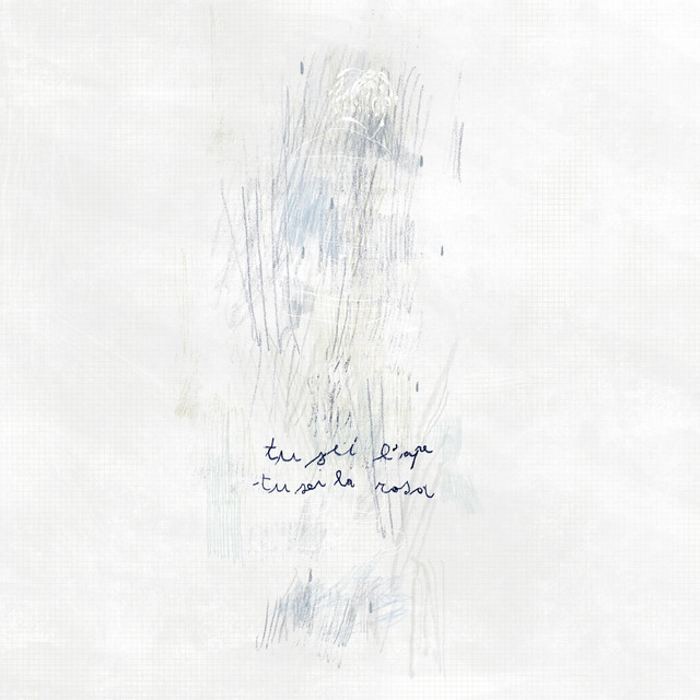 tu sei l'ape, tu sei la rosa cover art
