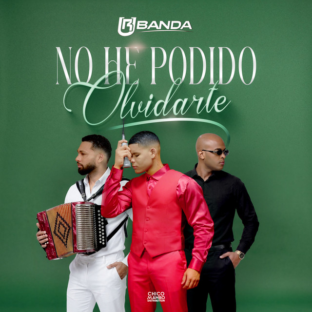 No He Podido Olvidarte album image