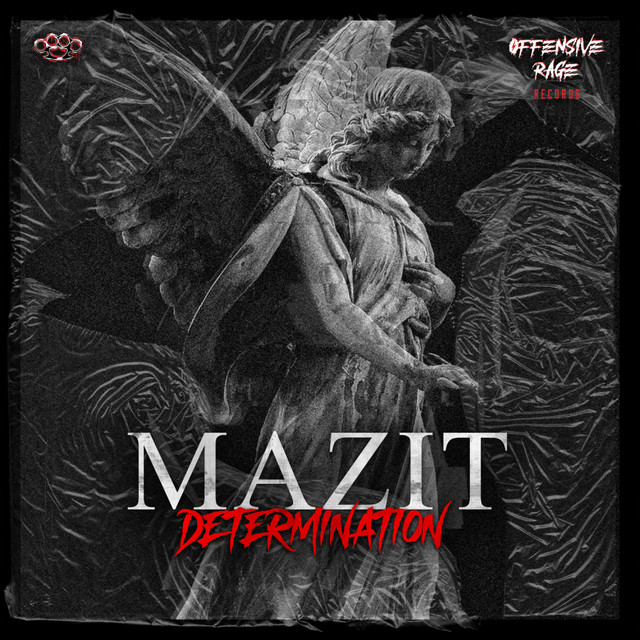 Determination cover art