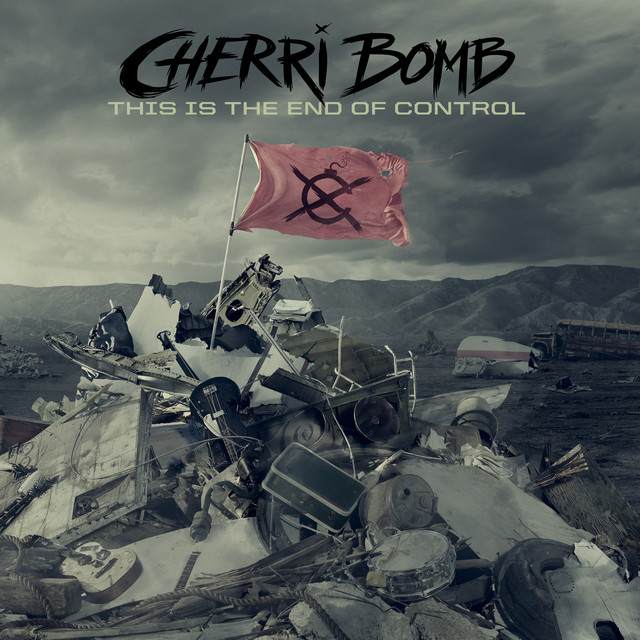 This Is The End Of Control cover