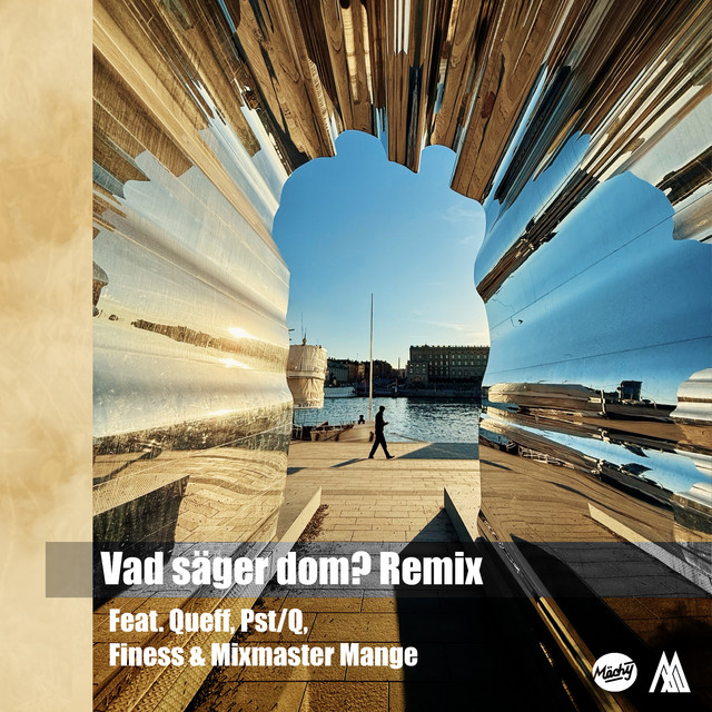 Vad säger dom? - Remix
