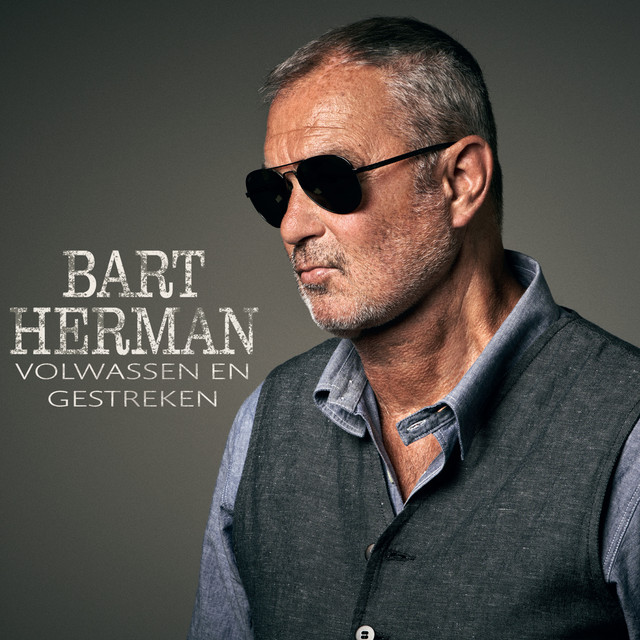 Volwassen en Gestreken cover art