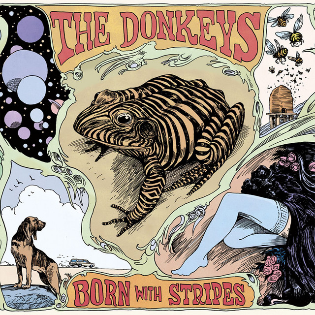 Born With Stripes cover art