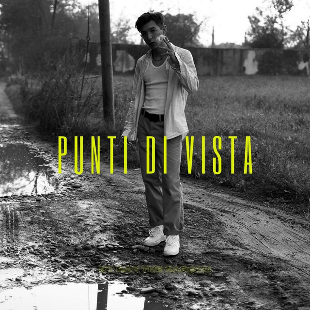 Punti Di Vista cover