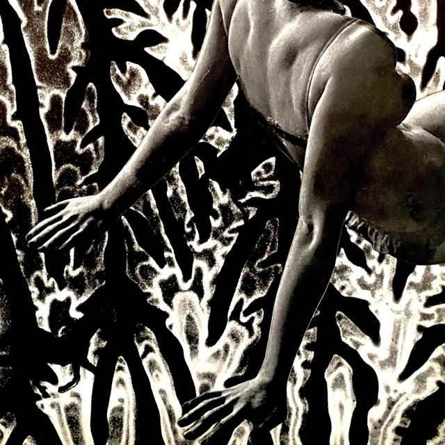 Fossilized cover art