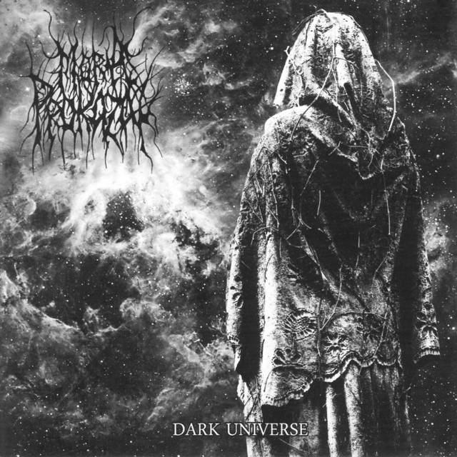 Dark Universe cover art