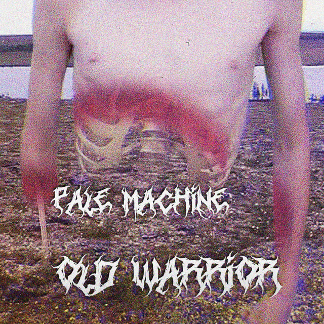 Old Warrior - Single by pale machine | Spotify
