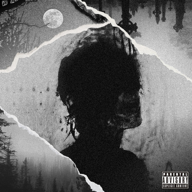 SILHOUETTE cover art