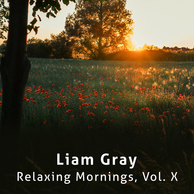Relaxing Mornings, Vol. X cover art
