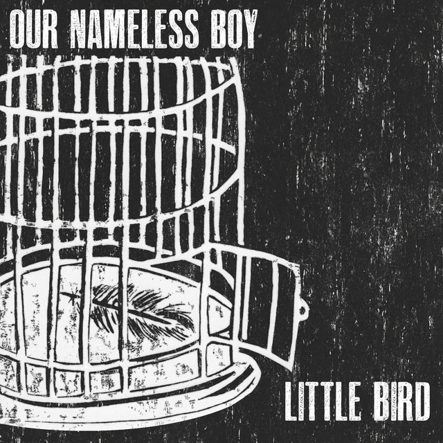 Little Bird cover