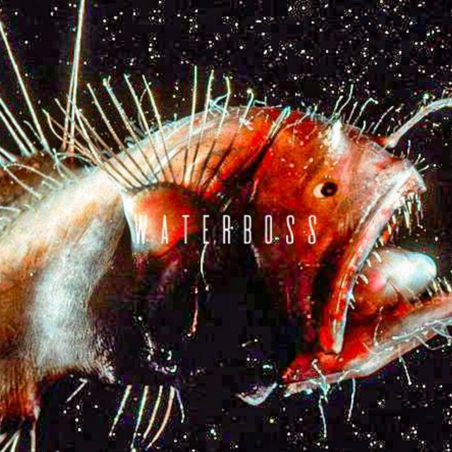 WATERBOSS cover art