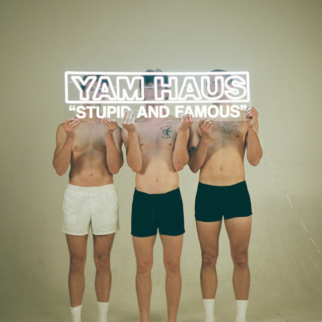 Stupid and Famous cover art