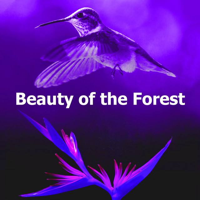 Beauty of the Forest cover art