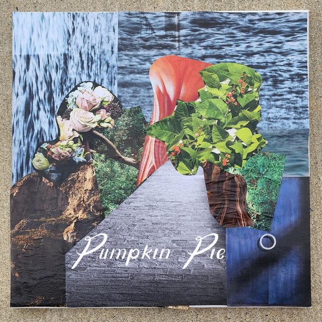 Pumpkin Pie cover art
