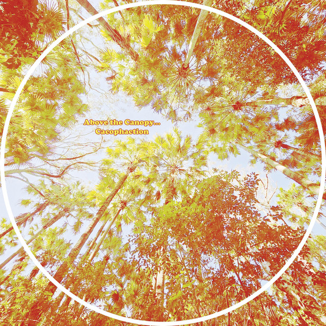 Above The Canopy — Cacophaction