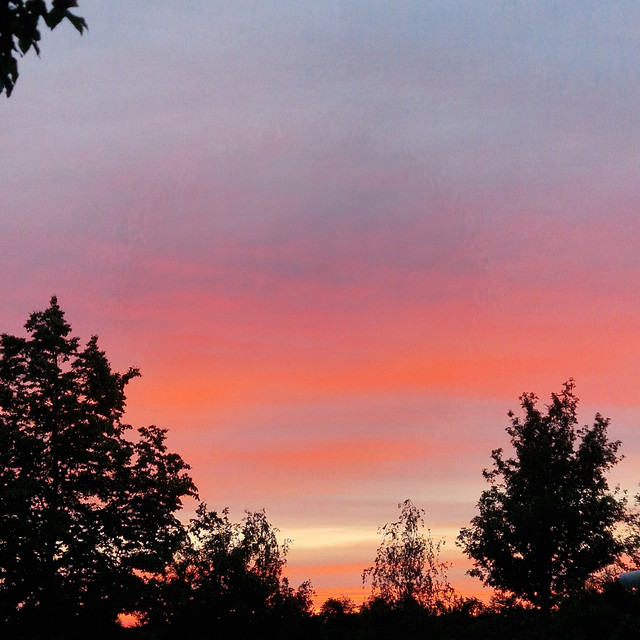 Scherbenmeer (Interlude)