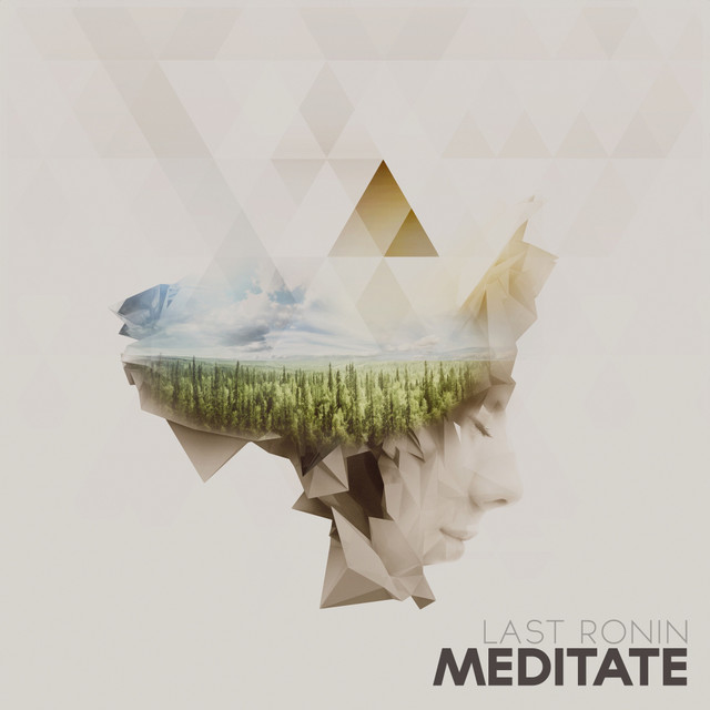Meditate cover art