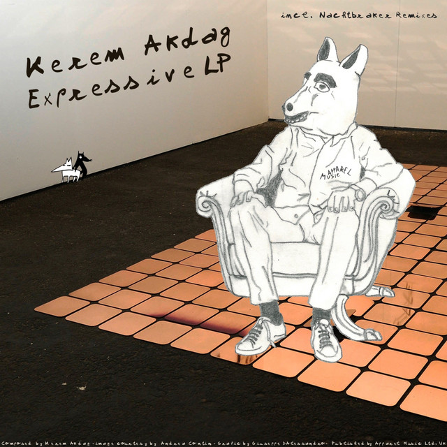 Expressive LP cover art