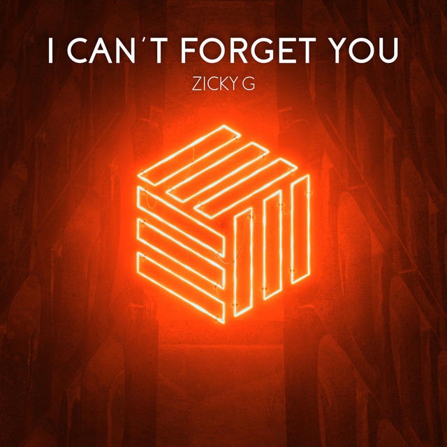 I Can't Forget You cover