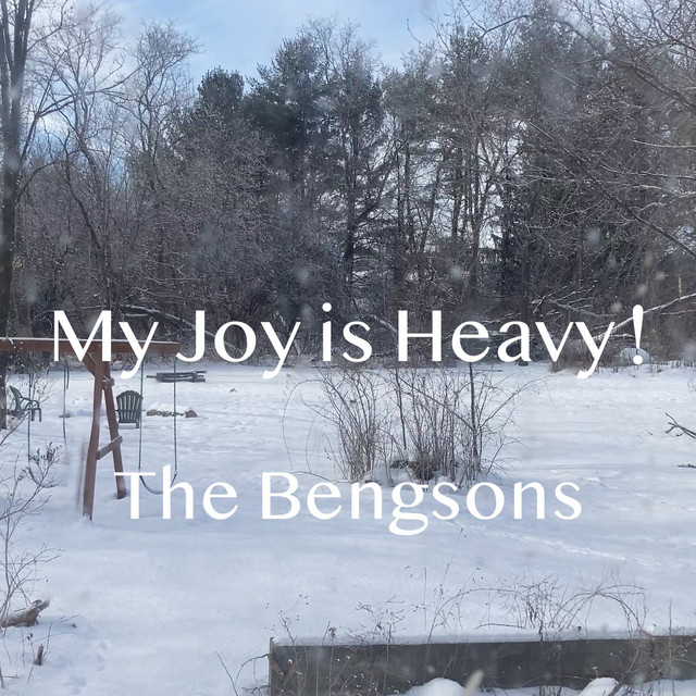 My Joy Is Heavy! cover