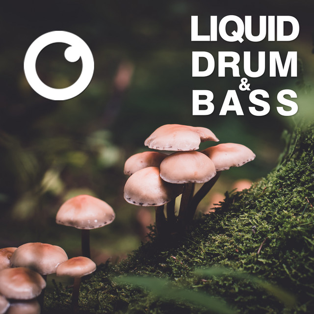 Liquid Drum & Bass Sessions 2020 Vol 31 artwork