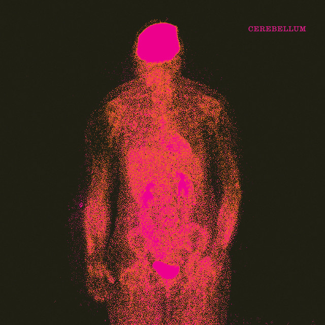 Cerebellum artwork
