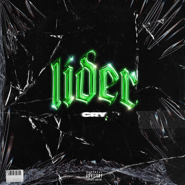 Lider cover art