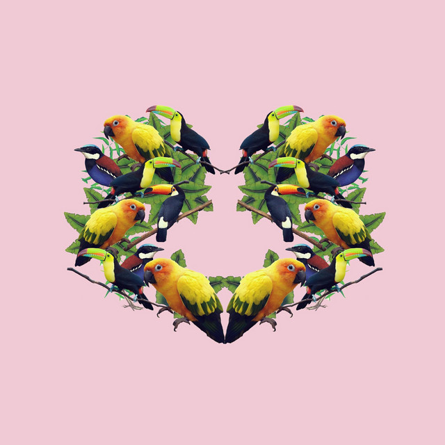 Love Up cover