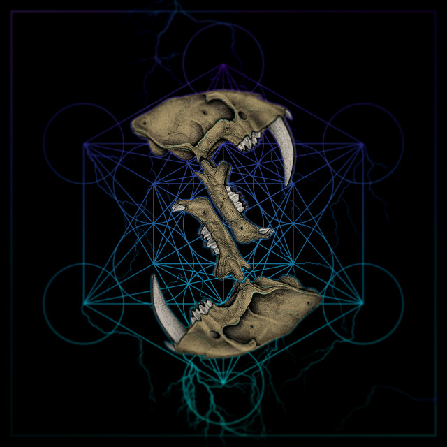 555 cover art