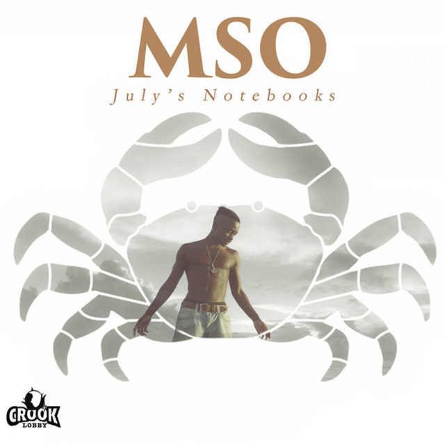 July's Notebooks cover art