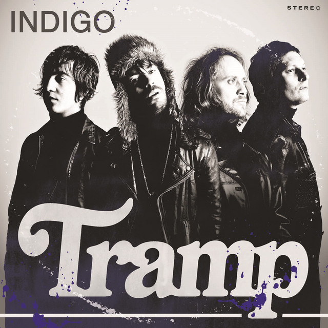 Indigo cover art