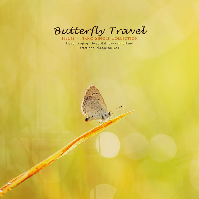 Butterfly Travel - Single by JiEum | Spotify