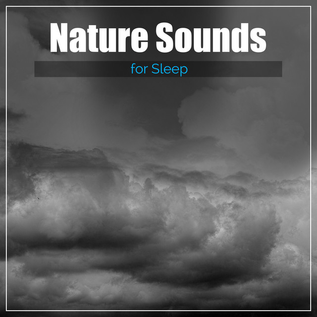 12 Nature Sounds for Sleep, Insomnia, Relaxation and Peace - Album by ...