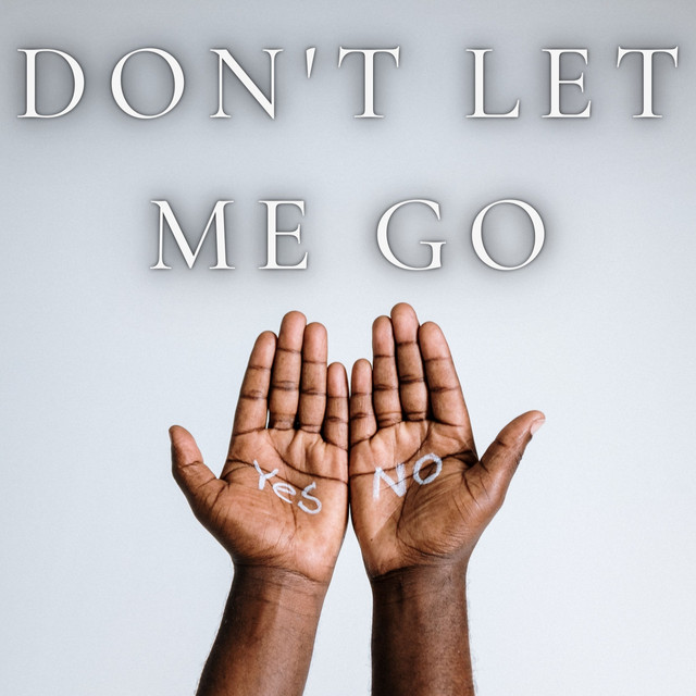 Don't Let Me Go - Single by Reece Burns | Spotify