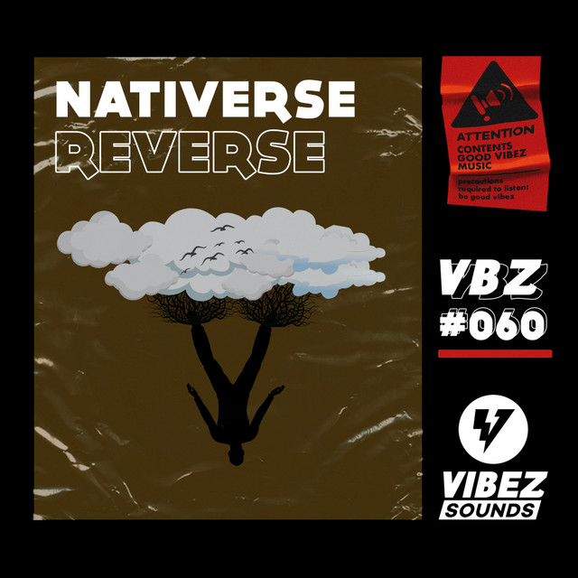 Reverse - Single by Nativerse | Spotify