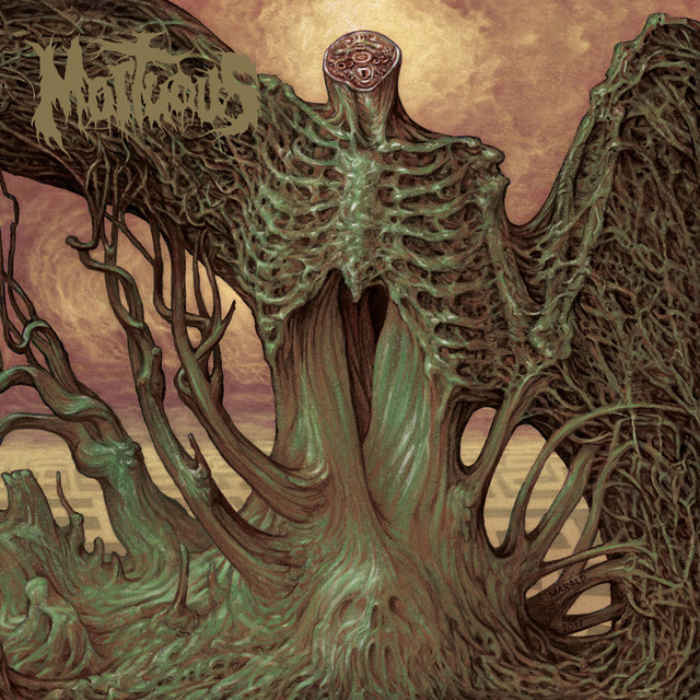 Through Wilderness cover art
