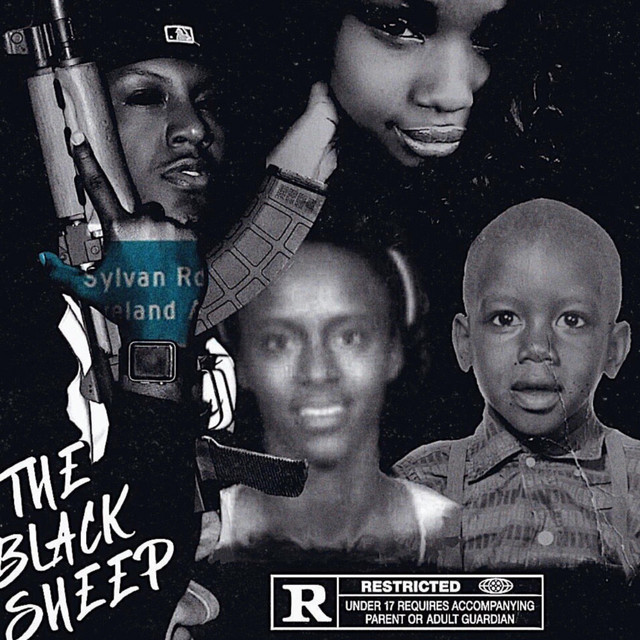 The Black Sheep cover art