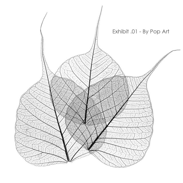 Exhibit .01 cover art