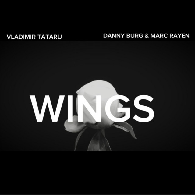 WINGS