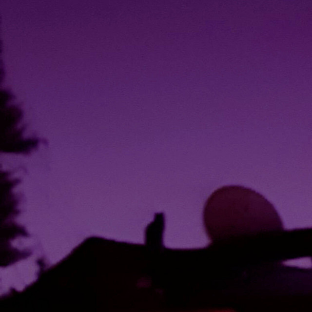 Обкладинка: waitforme.wav — NØVA
