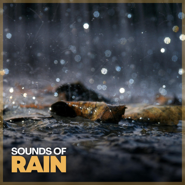Muddy Path cover art