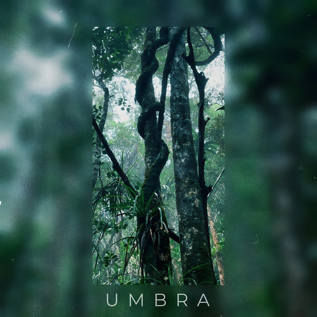 Umbra