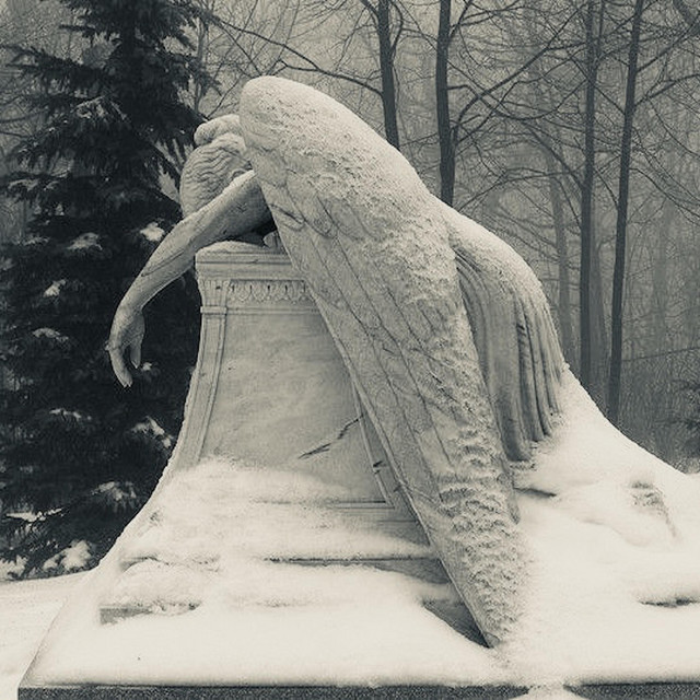 Shivers in the Cold cover art