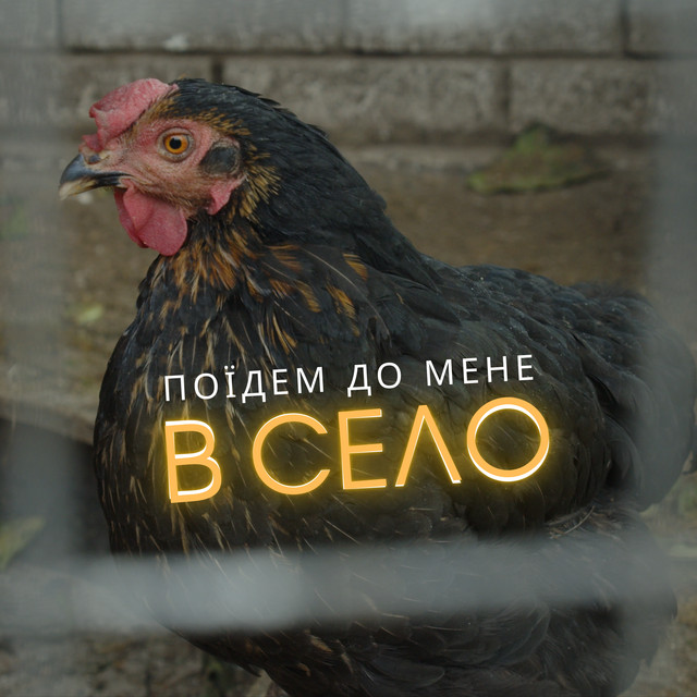 Обкладинка: Поїдем до мене в село — The Кум