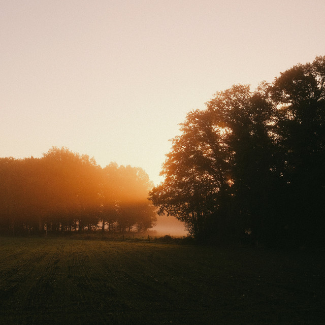 New Dawn
